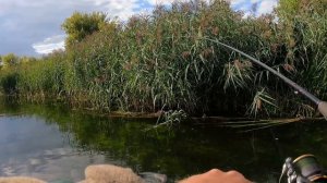 Если не клюет ГОЛАВЛЬ, то попробуй ЭТОТ КРЕНК!