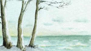 Балтика. Январь. Анимация моей акварели