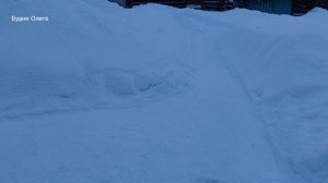 УТРО В ДЕРЕВНЕ. УДОБРЯЮ ОГОРОД ВСЮ ЗИМУ 11.01.26