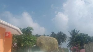 Дерево в сетке, Дараванду, Мальдивы, январь 2026 (A Tree in the net, Dharavandhoo, Maldives, Jan'26)