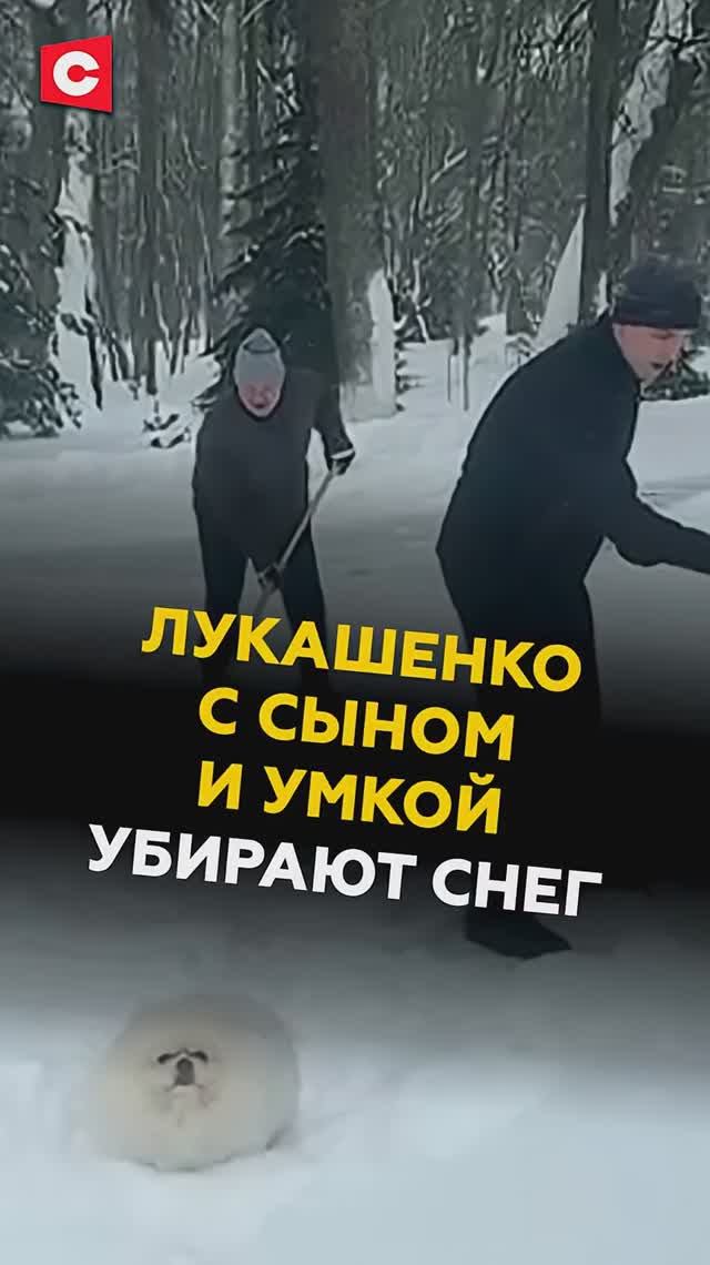 Лукашенко с сыном и Умкой убирают снег #лукашенко #колялукашенко #новости #политика #умка #беларусь смотреть онлайн