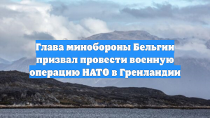 Глава минобороны Бельгии призвал провести военную операцию НАТО в Гренландии