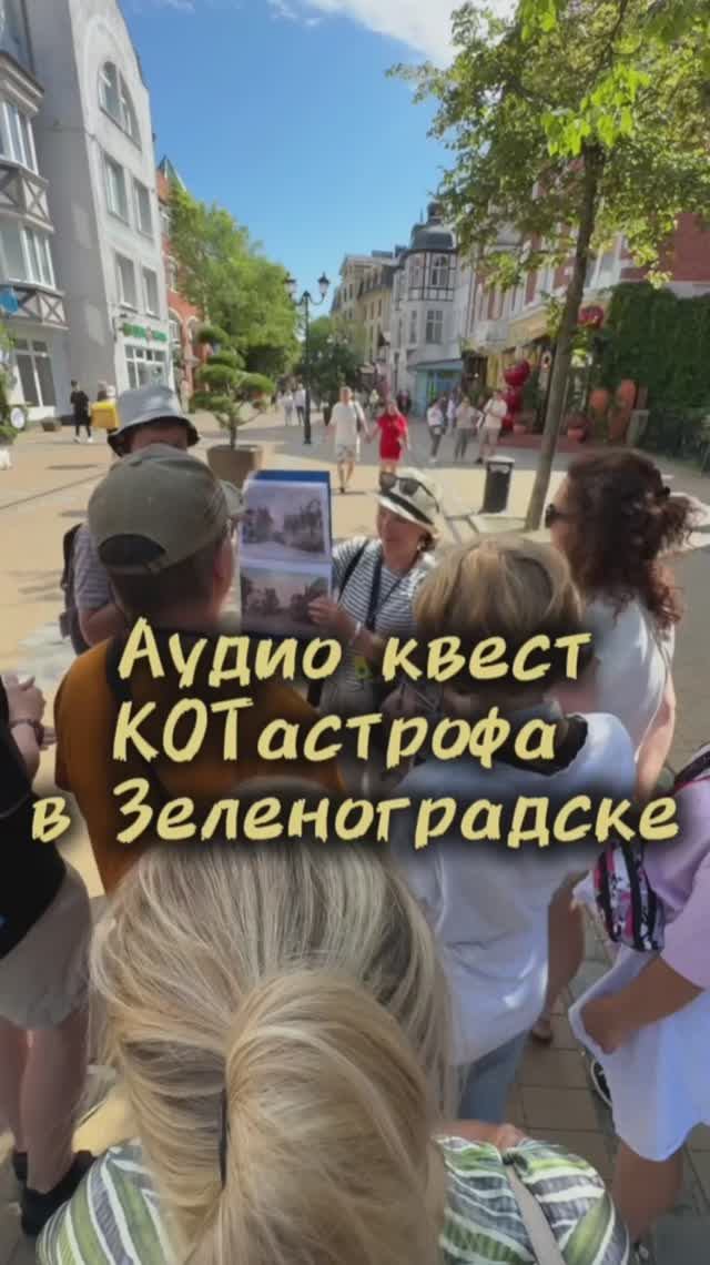 Аудиоквест КОТастрофа в Зеленоградске смотреть онлайн