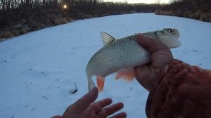ловля ГОЛАВЛЕЙ и других зимой!!!сижу рыбачу помаленьку)
