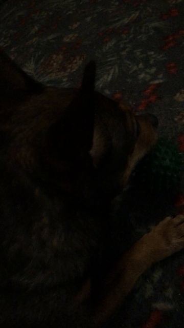 Принц ждёт Вову (внука) смотреть онлайн