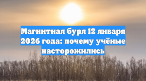 Магнитная буря 12 января 2026 года: почему учёные насторожились