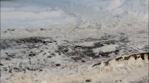 Комментатор находка для блогера, но и они бывают разными