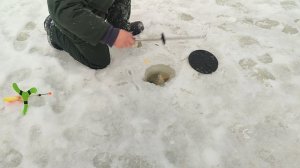 Форель на резину. Основной водоём.