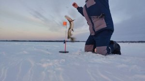 Рыбалка на жерлицы в глухозимье.