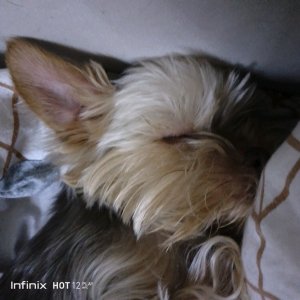 всем привет! 2 часть вчерашнего эфира!