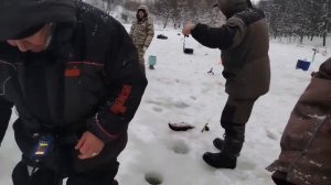 11.01.26 г. РК Волна.