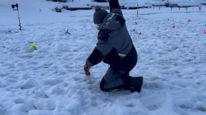 Видеообзор с водоёма.