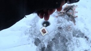 Самая лучшая рыбалка на окуня!