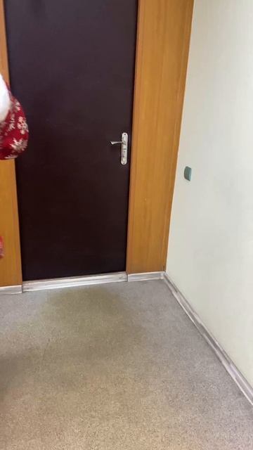 VID_20231229_130431_002.mp4.mov смотреть онлайн