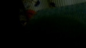 Рукодельная (и не только) неделя №54.