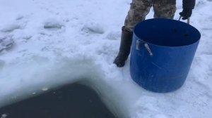 утренние зарыбление форели