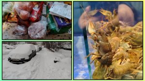 5/2026 ПОЧЁМ РЫБКА? НАС ЗАМЕТАЕТ... ХОТЕЛКА С WB