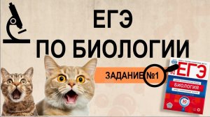 ЕГЭ биология. Задание №1 лайфхаки решения