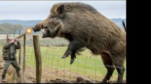 100 ЛУЧШИХ МОМЕНТОВ охоты на гигантских диких кабанов!