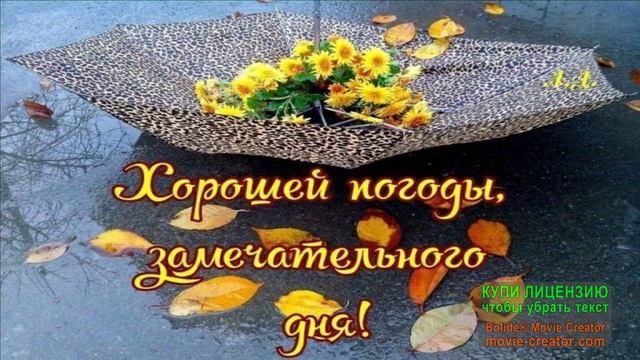 ОСЕННИЙ ДОЖДЬ смотреть онлайн