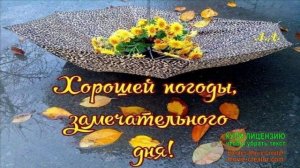 ОСЕННИЙ ДОЖДЬ