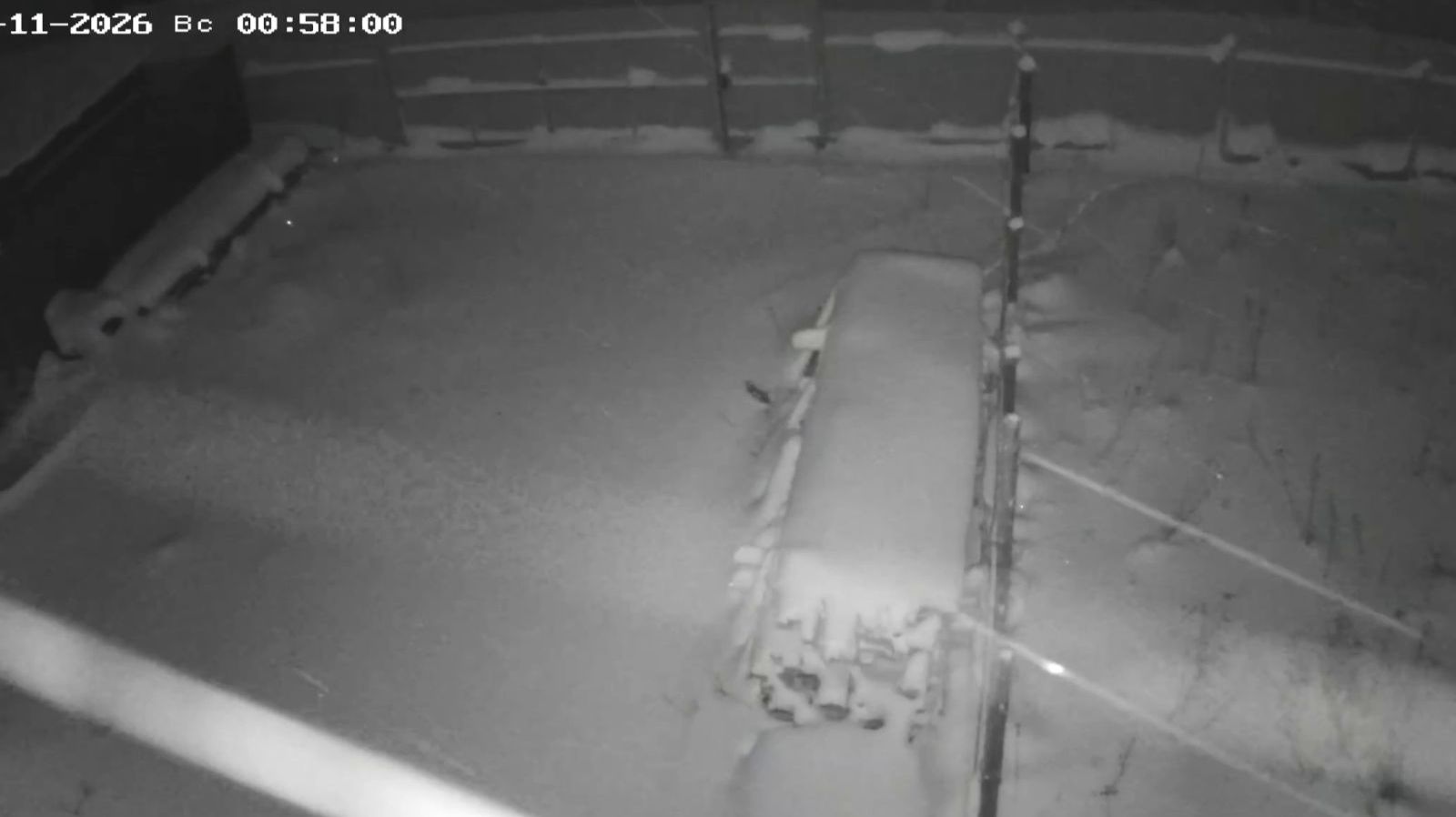 Ночной гость попал в объектив камеры наблюдения! Кто это?