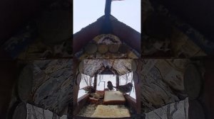 1000008304.mp4Жизнь кормушки.11.01.2026г.