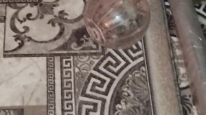 Хомяки в прогулочных шарах