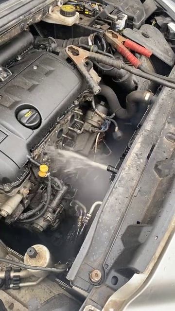 Эксперимент, который не стоит повторять.