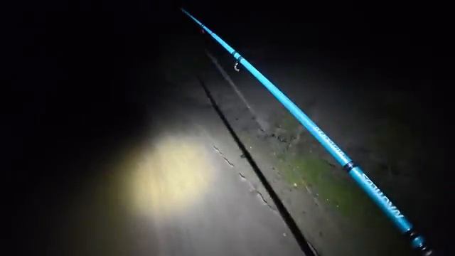 ТАКИХ Я ЕЩЕ НЕ ЛОВИЛ! ЭКСПЕРИМЕНТЫ НА МОНСТРОВ! Подводные съемки на Волге.