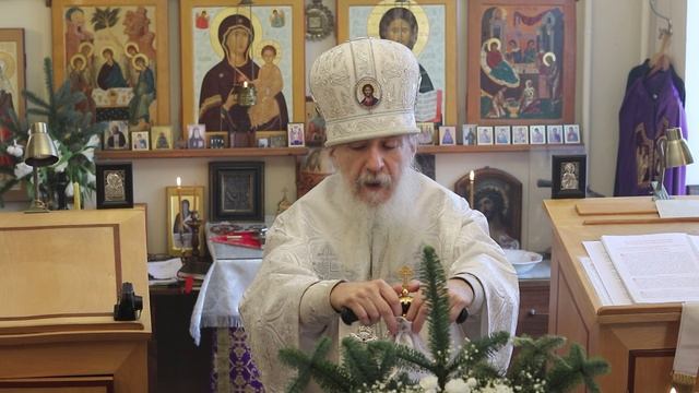 Проповедь епископа Амвросия (Тимрота) в неделю по Рождестве Христовом, 11 января 2026 смотреть онлайн