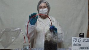 Биогаз как основа циклической экономики. Моделирование получения биогаза из органических отходов.