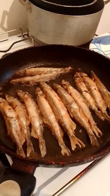 мукбанг/вкусняшки/жареная рыбка/ смотреть онлайн