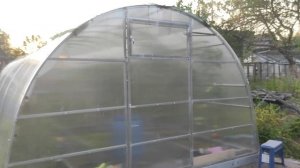 44-ДАЧА .Кто жрет мою мяту?Мятный листоед🙂4 часть(19.07.-25.07.21.)