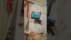 играю в бильярд и в черепах