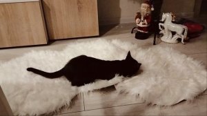 Black and white 😁