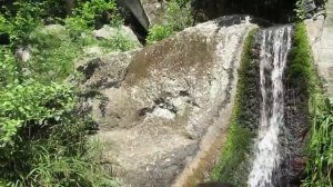 Крым. Воронцовский парк. Алупка. Отдых в Крыму.