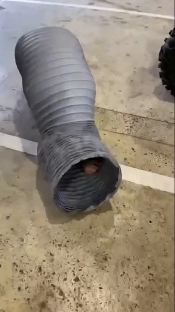 И снова в бой... смотреть онлайн