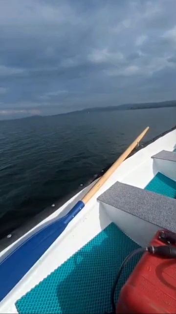 лодка Пелла с мотором гладиатор 9.9 15 . отлично идёт.