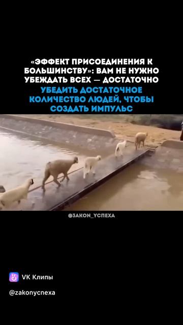 Не нужно убеждать всех