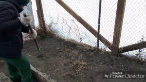 Соскучилась по земле / Почтальон обиделась.