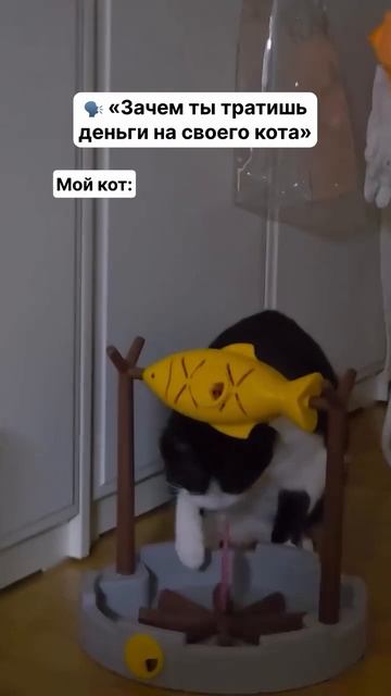 Это не кормушка, а какое-то издевательство над котиком.