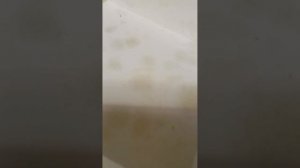 Я пошла в школу. 🏫 Но что-то пошло не так 🤔