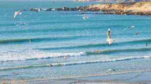 Мелодия для отдыха