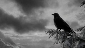 Pravohor. Сретень.