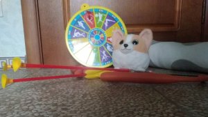 РЫЖИК РОБИН ГУД!🏹🐶 ВОТ ЧТО НАМ ПОДАРИЛИ! 🎁