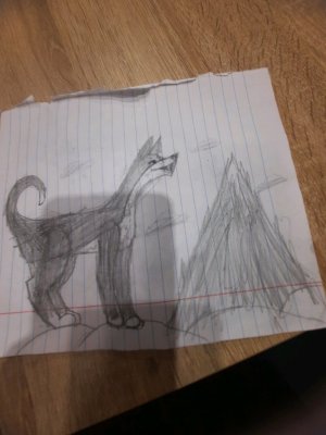 урааа осталось 11 подписок пж подпишитесь!!!