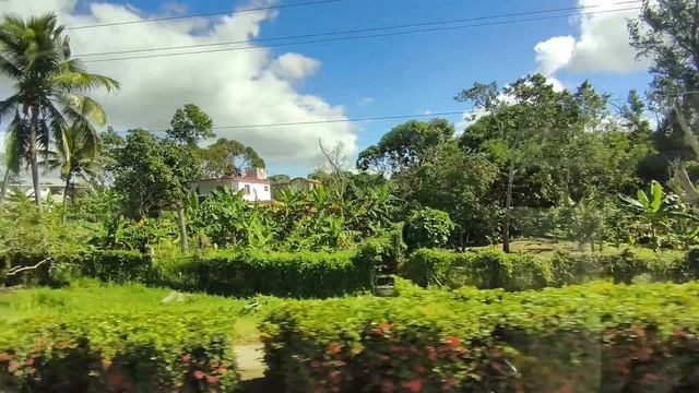 Дорога из аэропорта в отель 10.01.26.