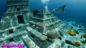 Воспитание  или способ питания Тонких Тел