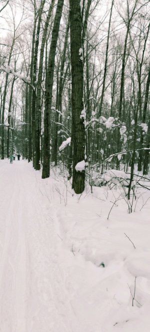 катаюсь на лыжах